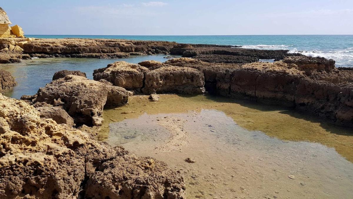 Albufeira Sea View Lägenhet Exteriör bild