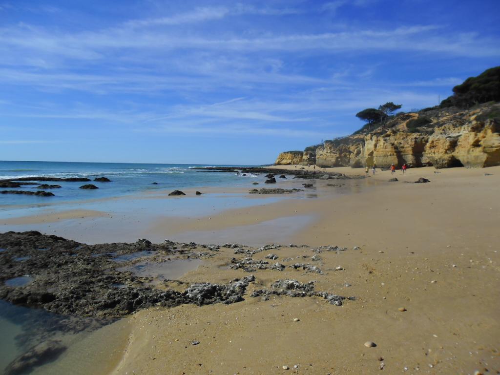 Albufeira Sea View Lägenhet Exteriör bild